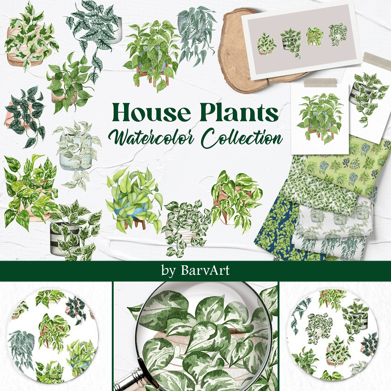 House Plants Watercolor Collection cover.