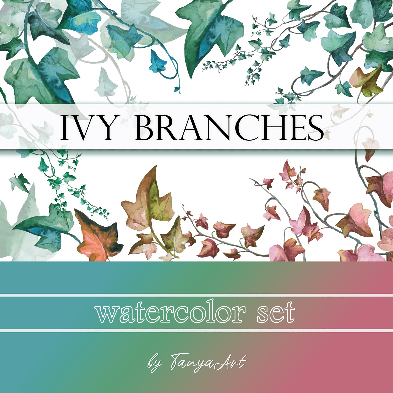 ivy branches watercolor set cover.