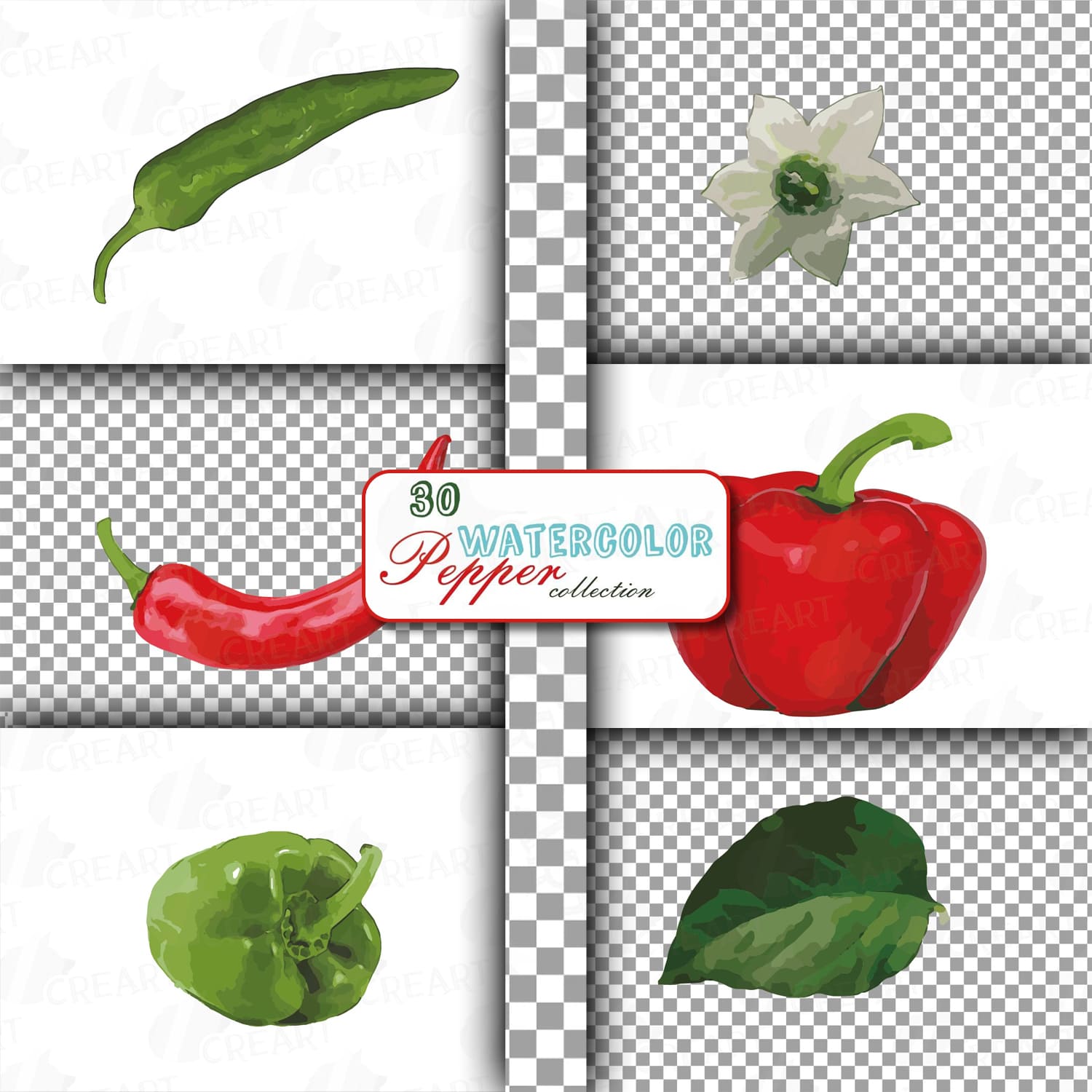 Watercolor peppers clip art pack, green and colorful peppers cover.