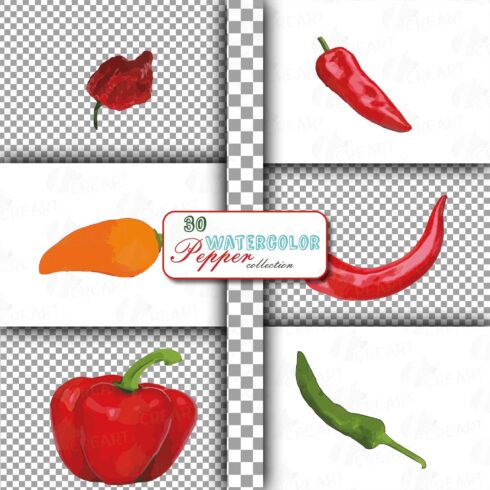 Watercolor peppers clip art pack, green and colorful peppers.