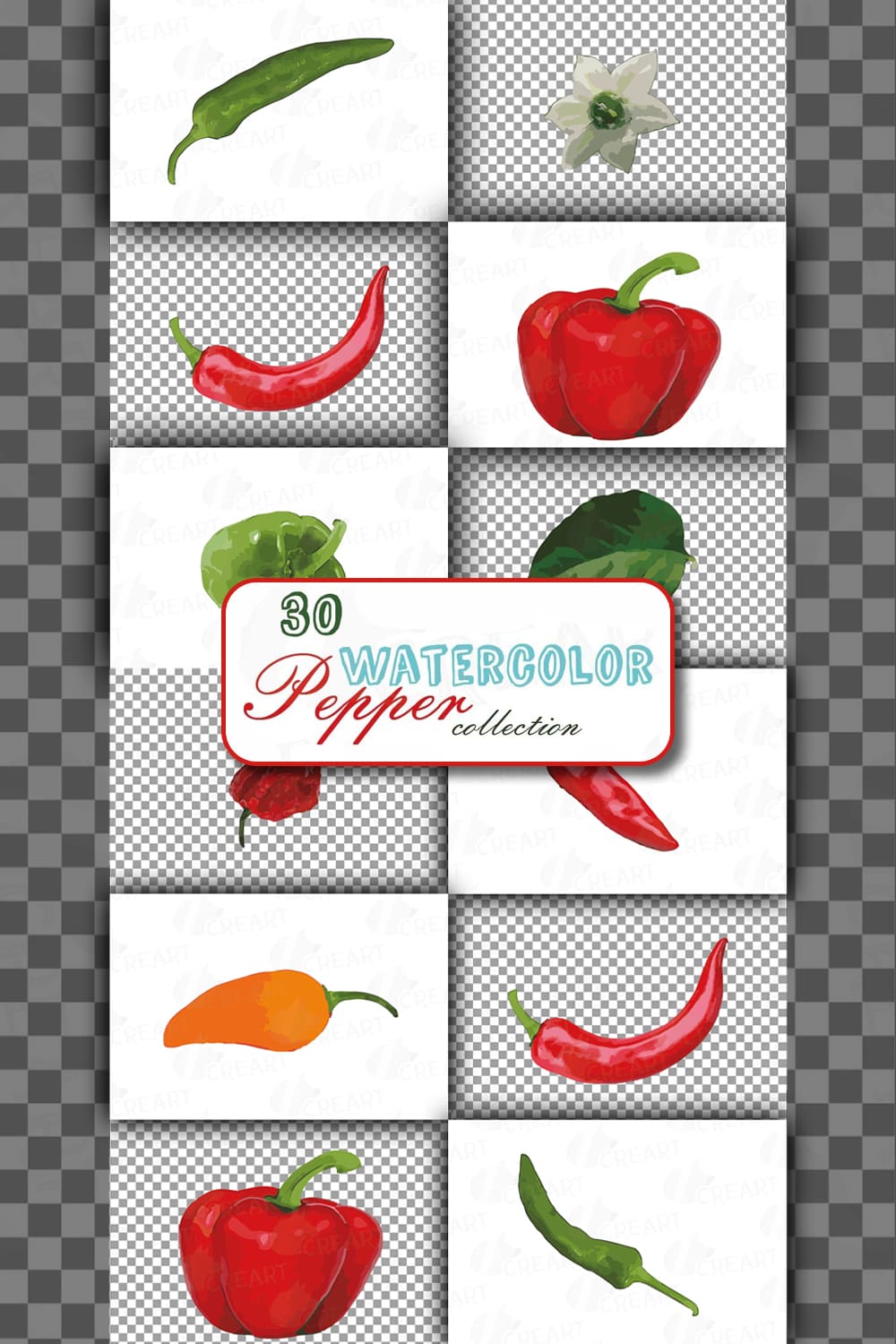 122391 watercolor peppers clip art pack green and colorful peppers pinterest 1000 1500