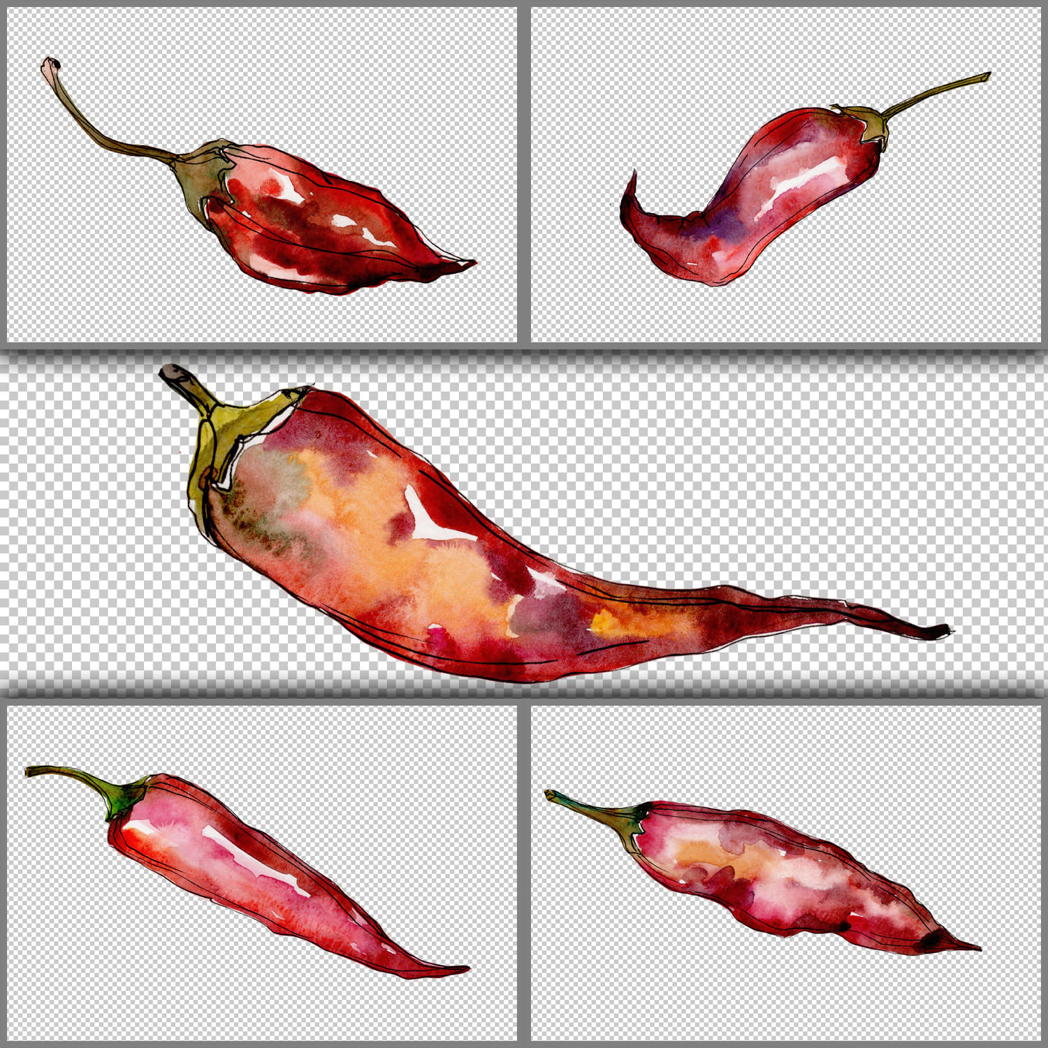 Red pepper vegetables PNG watercolor set cover.