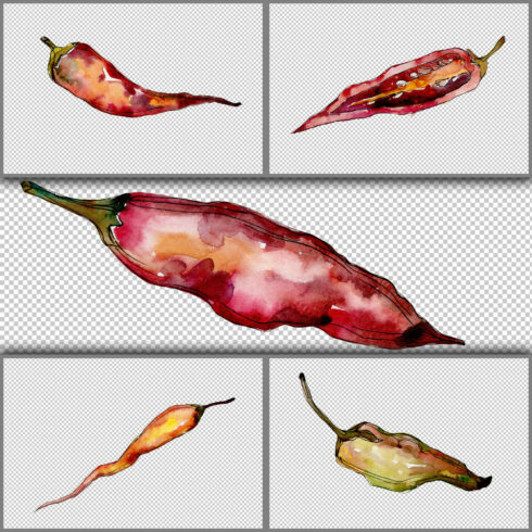 Red pepper vegetables PNG watercolor set.