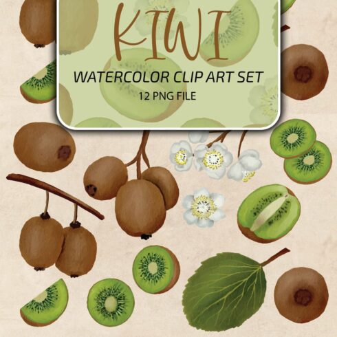 Kiwi Fruit Watercolor Clip Art Set PNG.