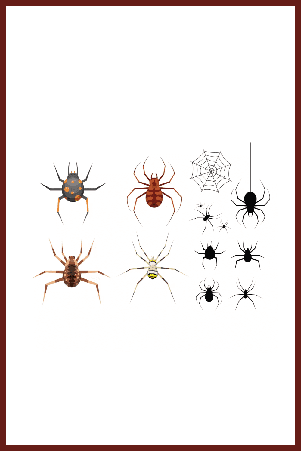 Collage of images of various spiders.