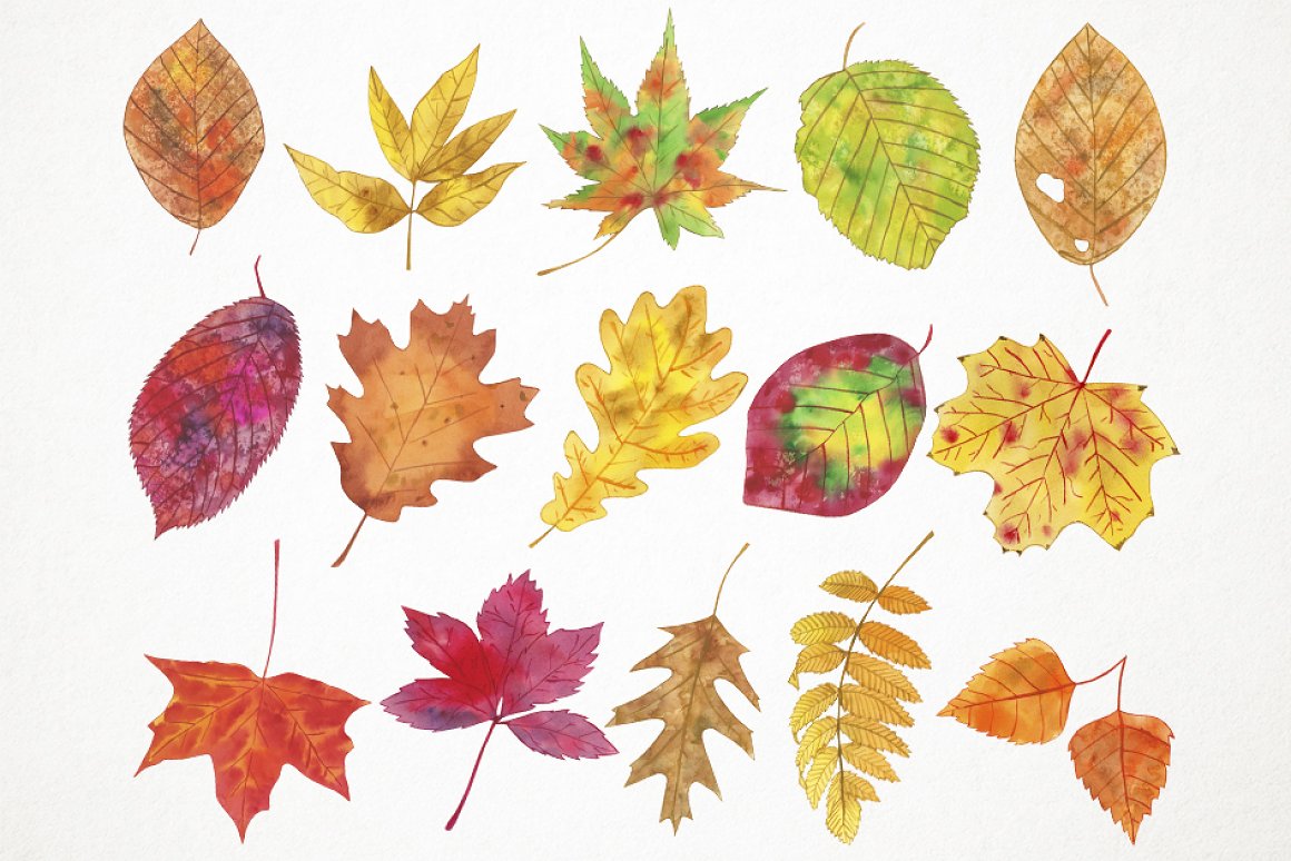 So realistic watercolor leaves collection.