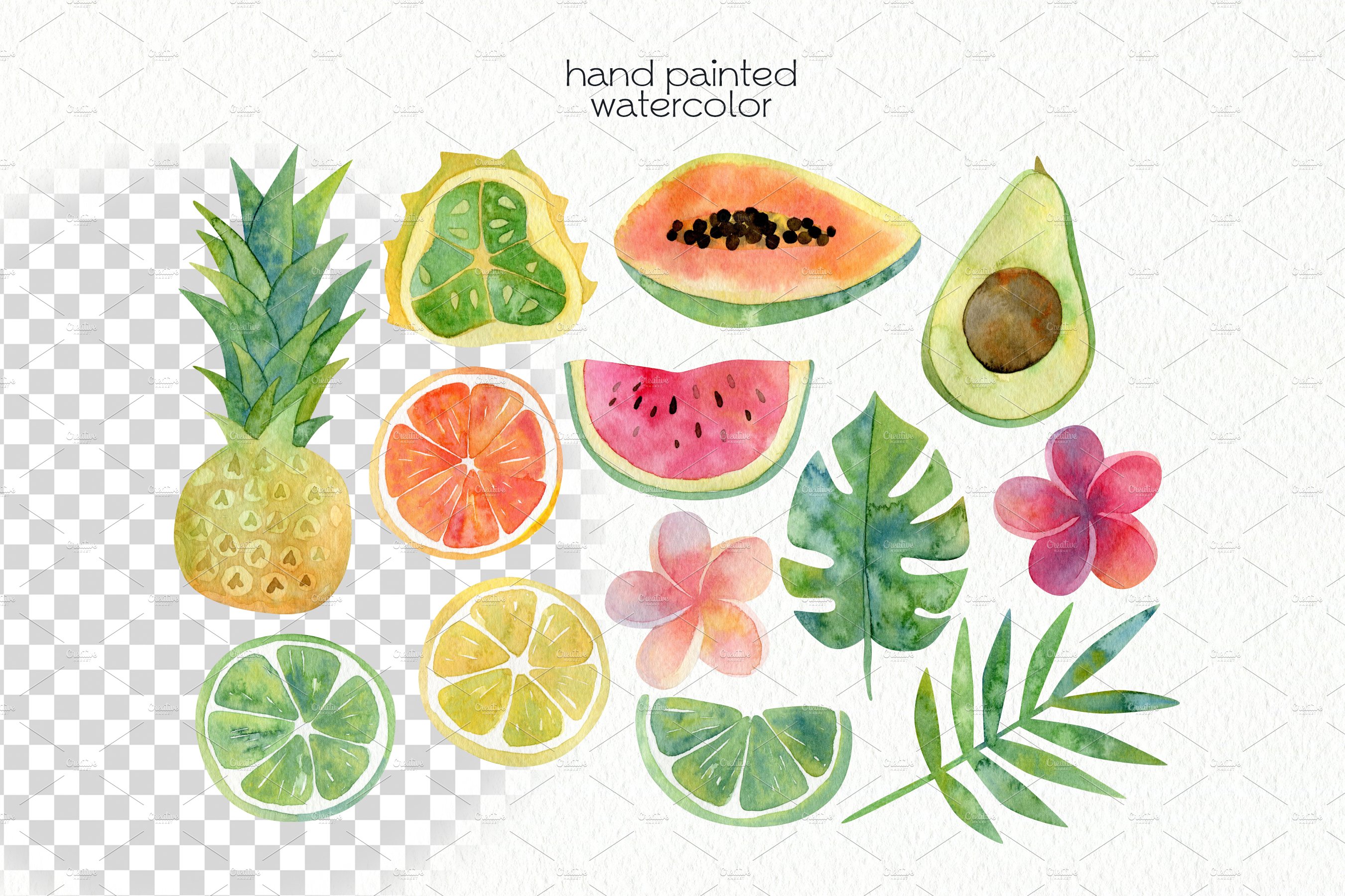 Exotic fruits and flowers for cool illustration.