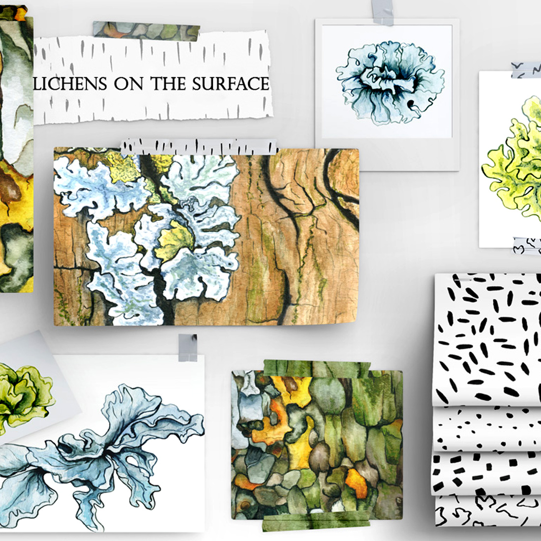 Watercolor Illustrations And Seamless Patterns With Lichens On The Surface Preview Image.