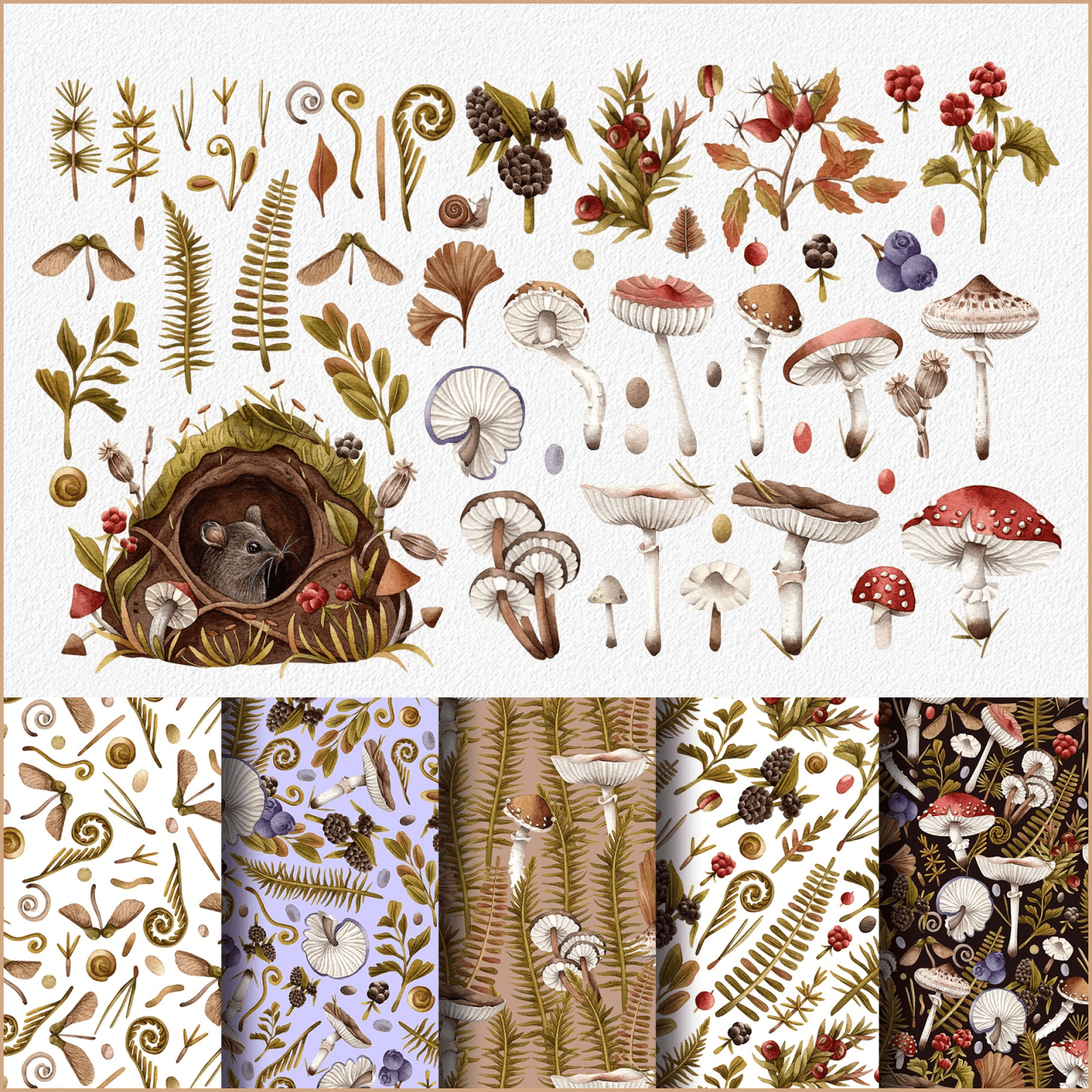 Botanical watercolor mushrooms created by Slovovslovo.