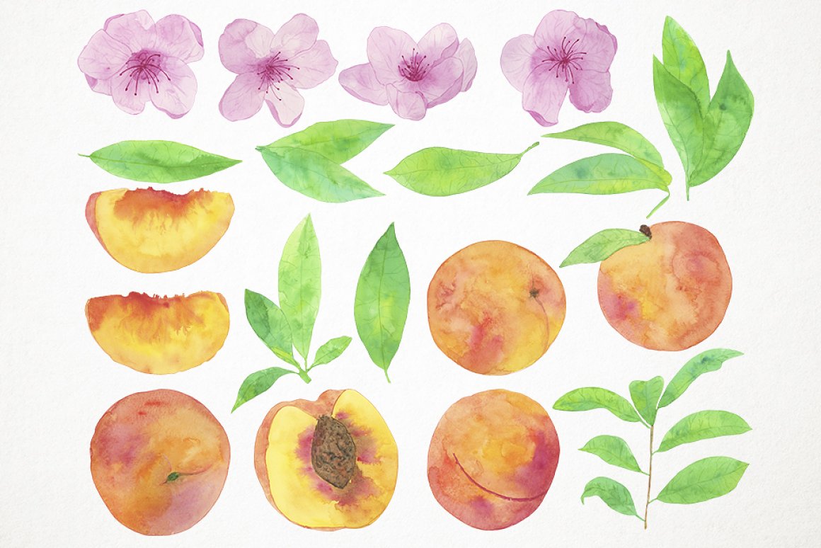 So juicy peaches set in a watercolor.