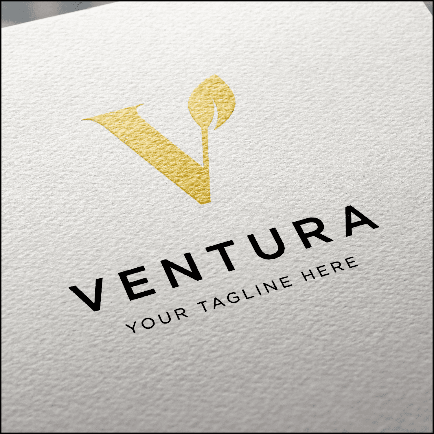 Letter V Luxury Logo cover.
