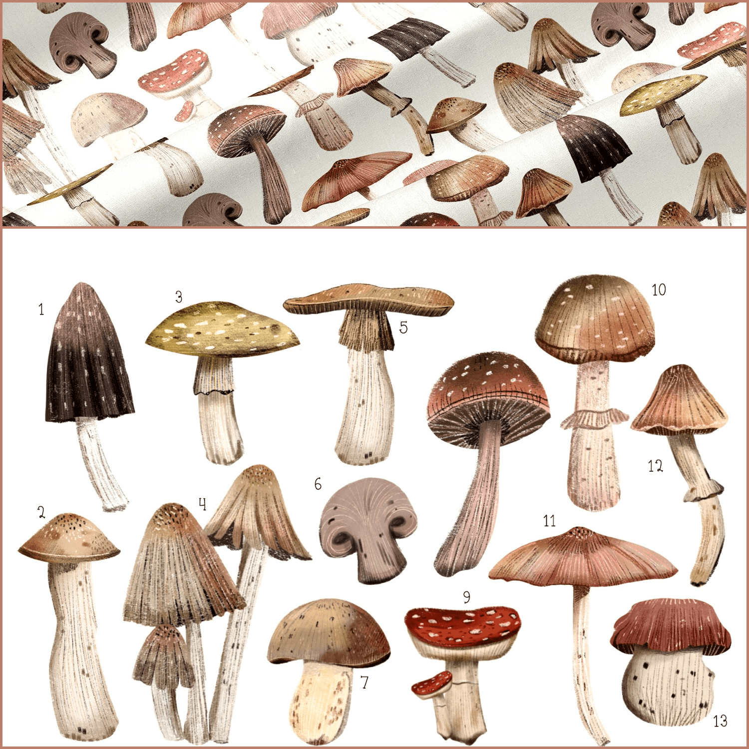 Mushrooms clip art hand drawing created by eliza´s workshop.