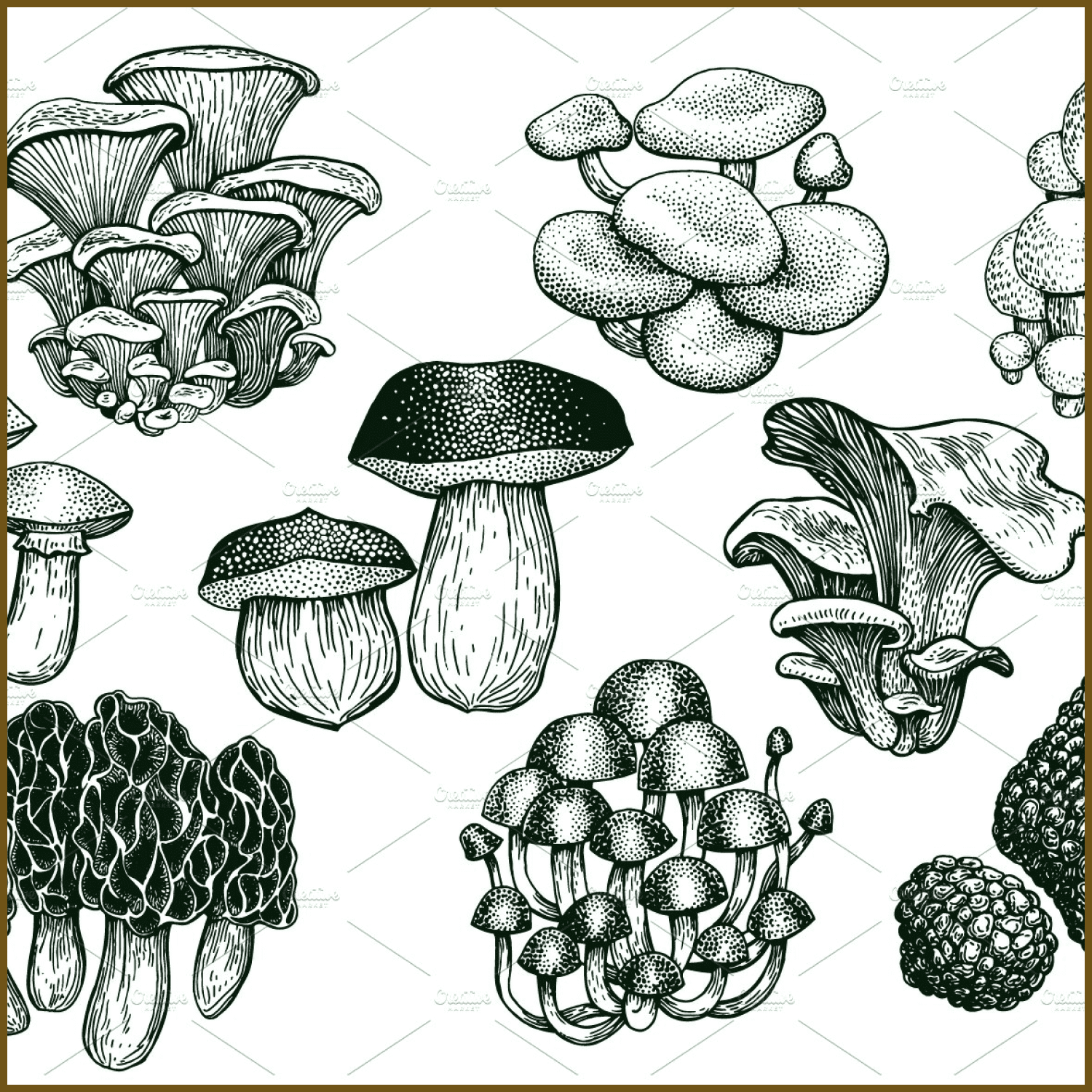Mushrooms Vector Collection created by Lubov Illustrations Shop.