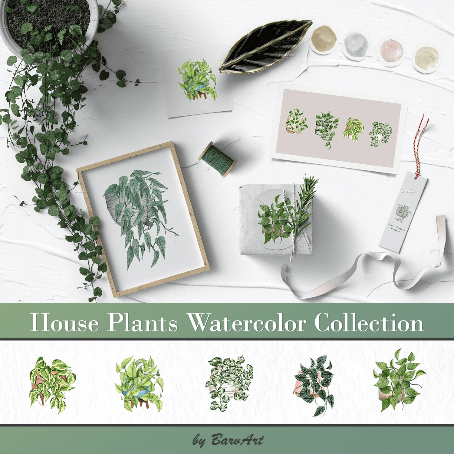 House Plants Watercolor Collection.