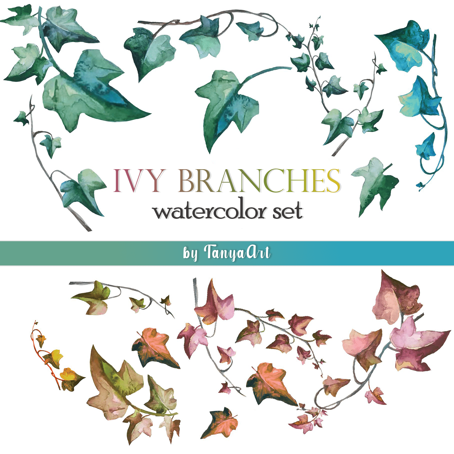 ivy branches watercolor set.