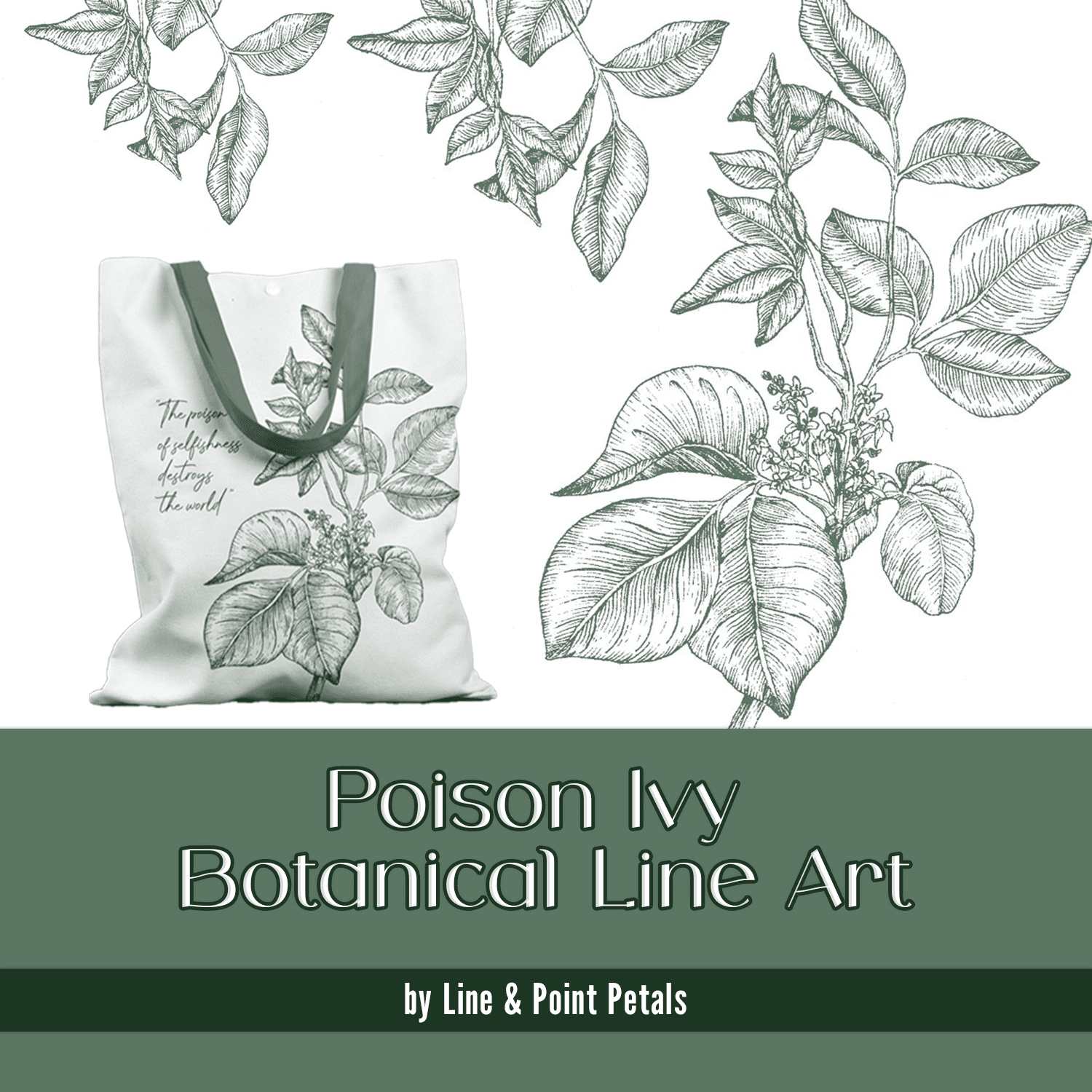 Poison Ivy Botanical Line Art cover.