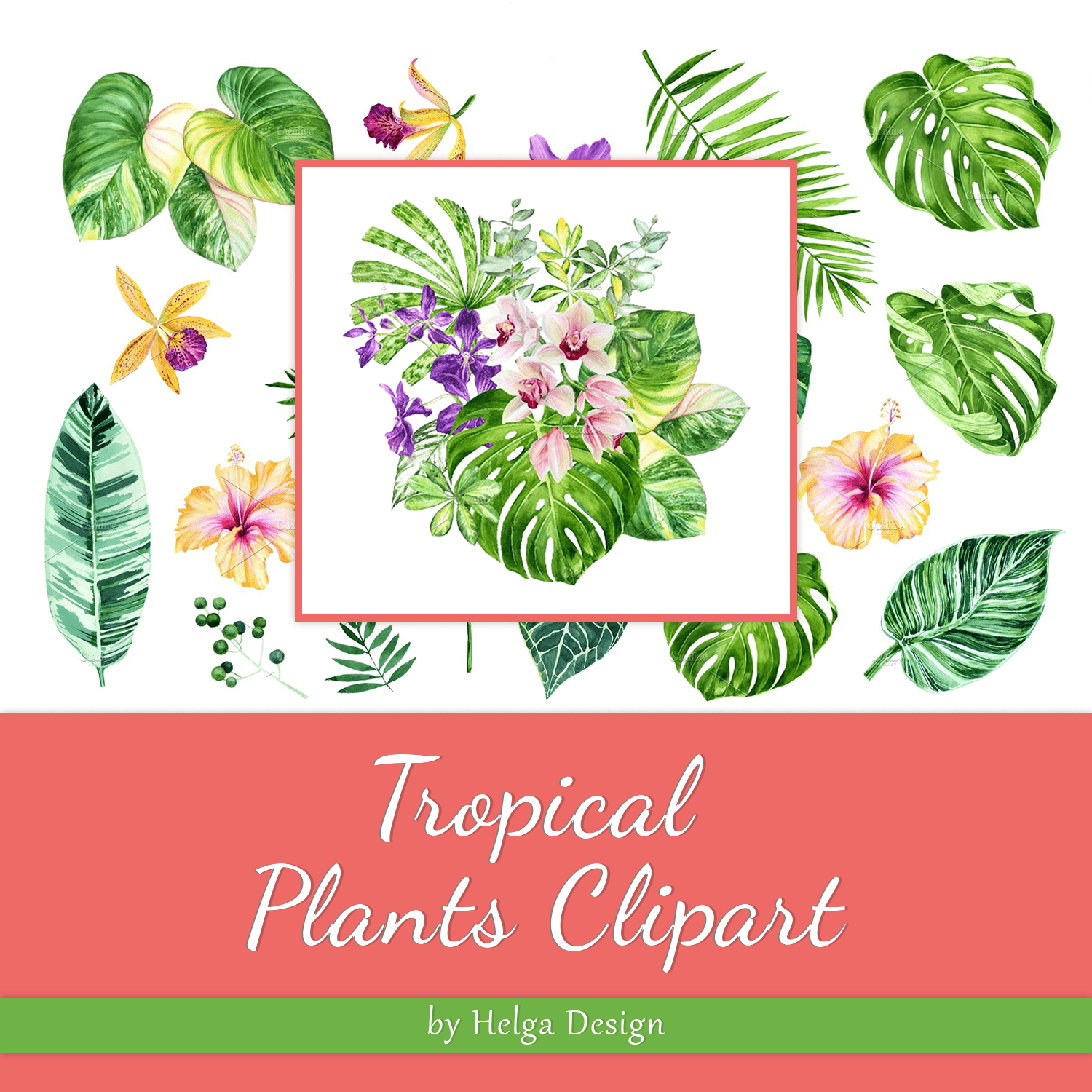 Tropical Plants Clipart cover.