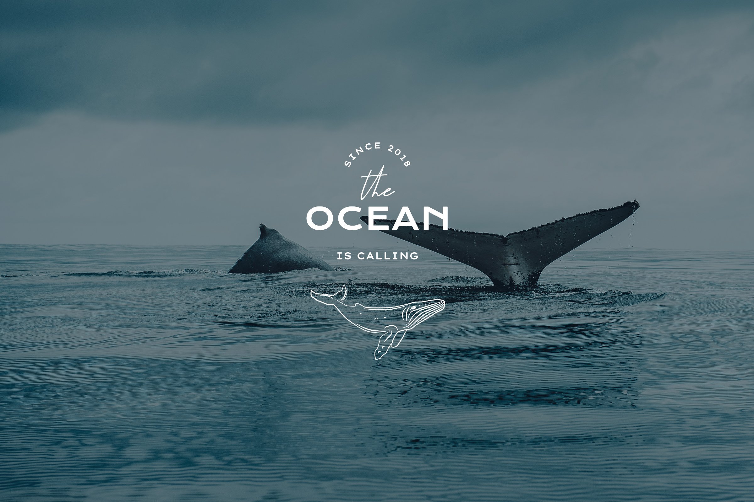 Perfect logo for an ocean brand.