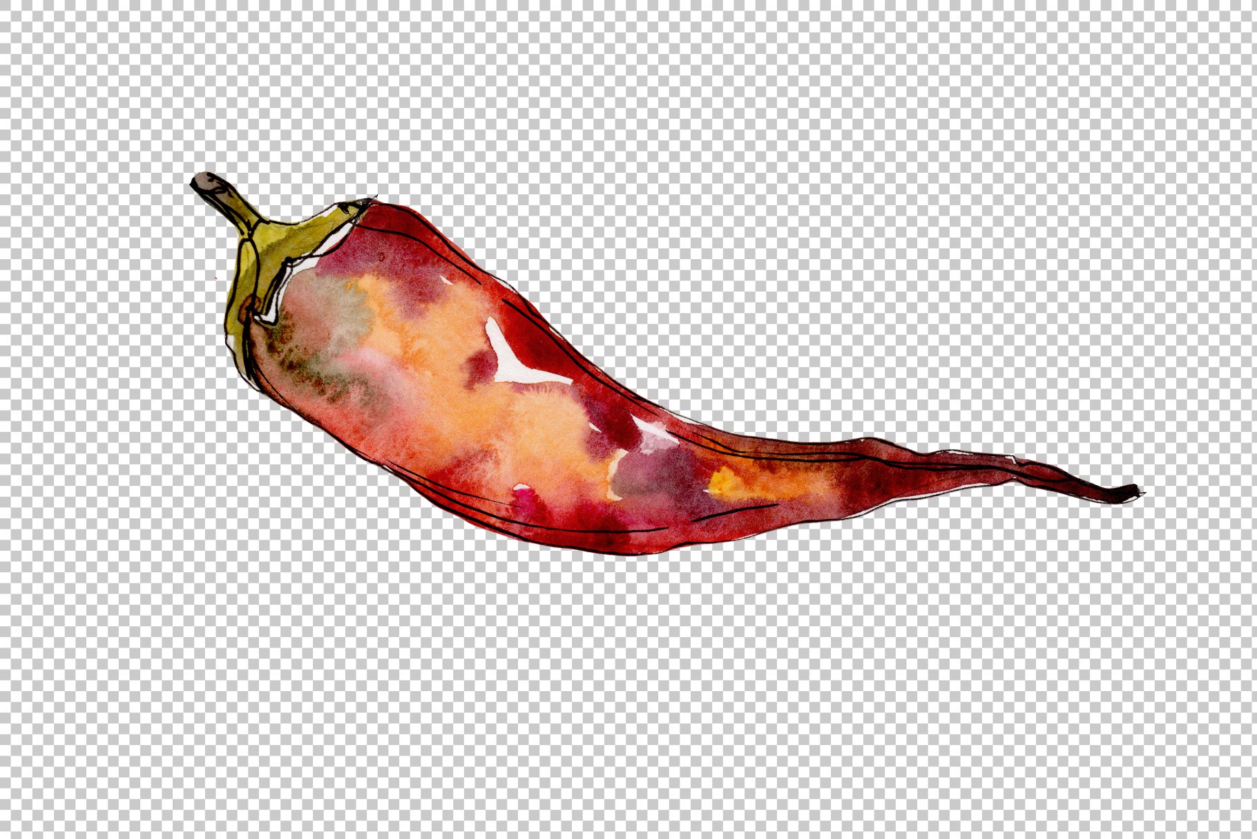 Transparent background with a chili pepper.