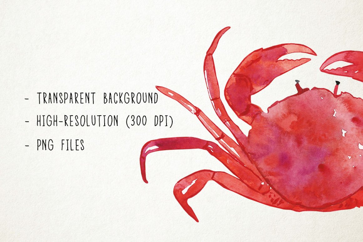 Big red watercolor crab.