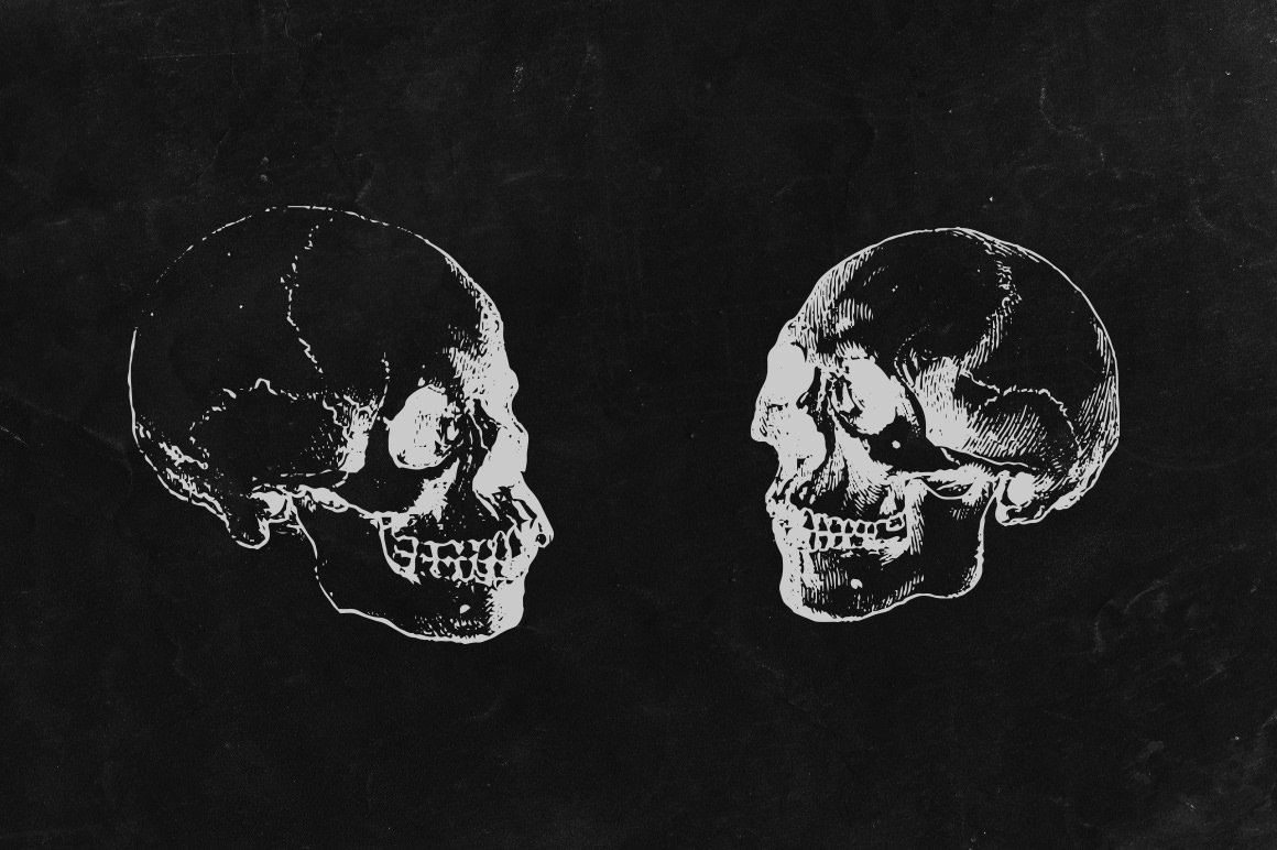 Engraved Skulls Illustrations 2 dark skulls.