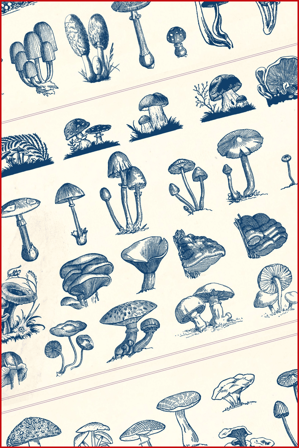 Vintage mushrooms - pinterest image preview.
