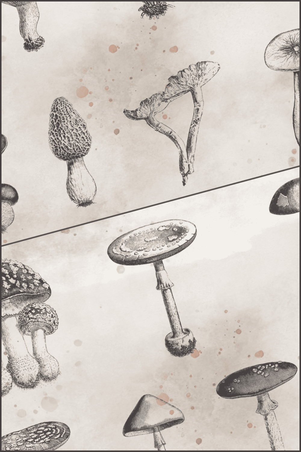 Vintage vectorized mushroom clipart - Pinterest image preview.