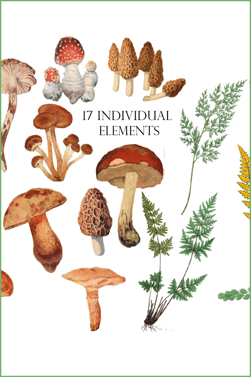 Watercolor mushroom clipart - pinterest image preview.