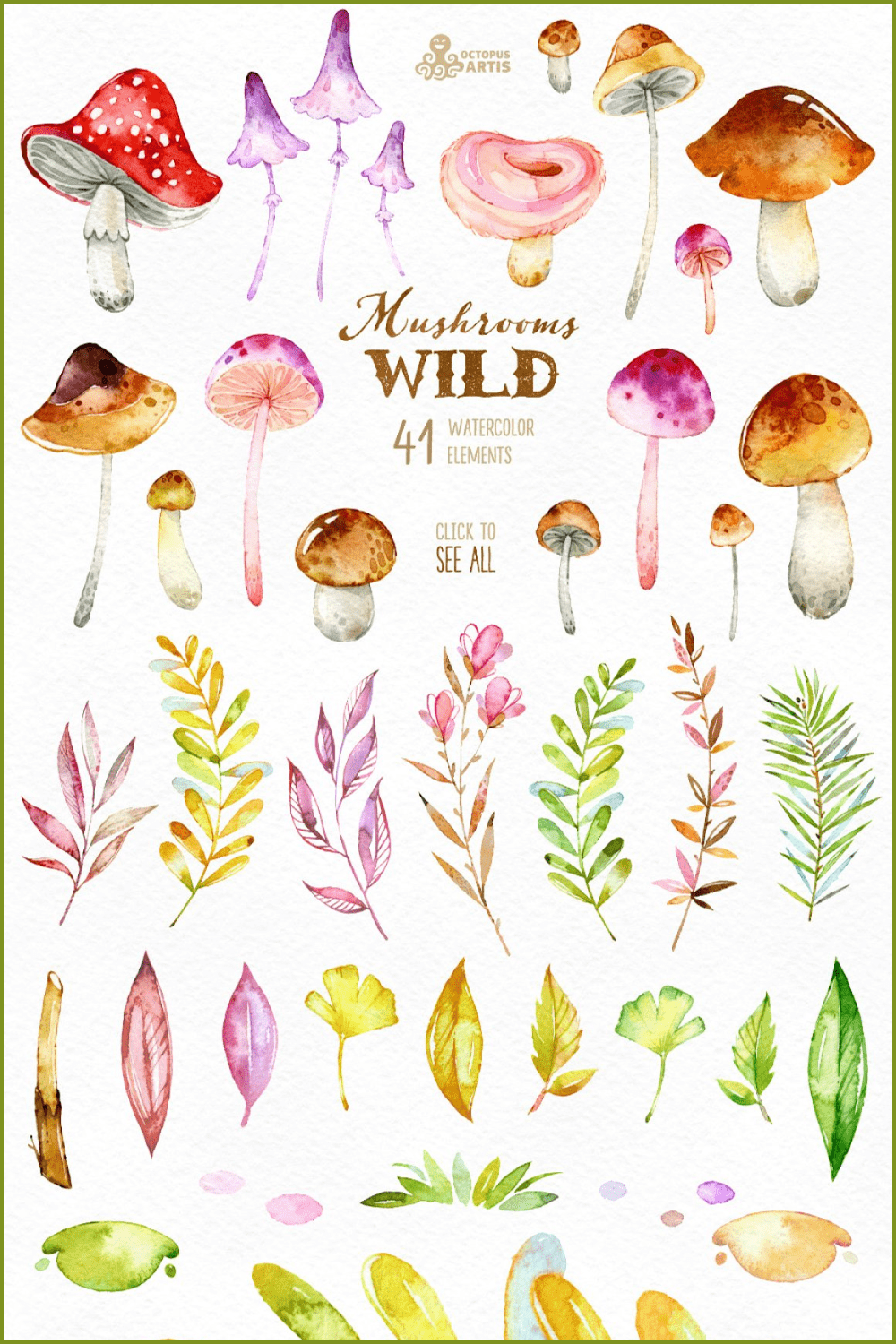 Wild mushrooms. forest collection - pinterest image preview.