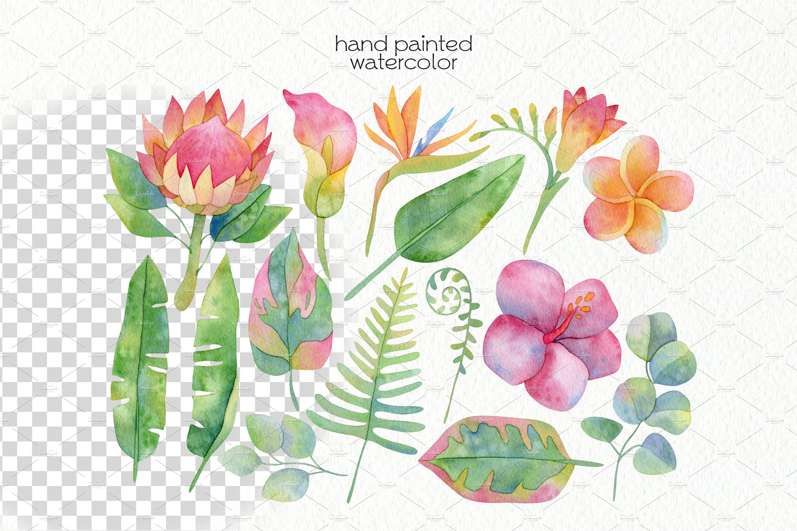 Hand painted watercolor elements for interesting tropical composition.