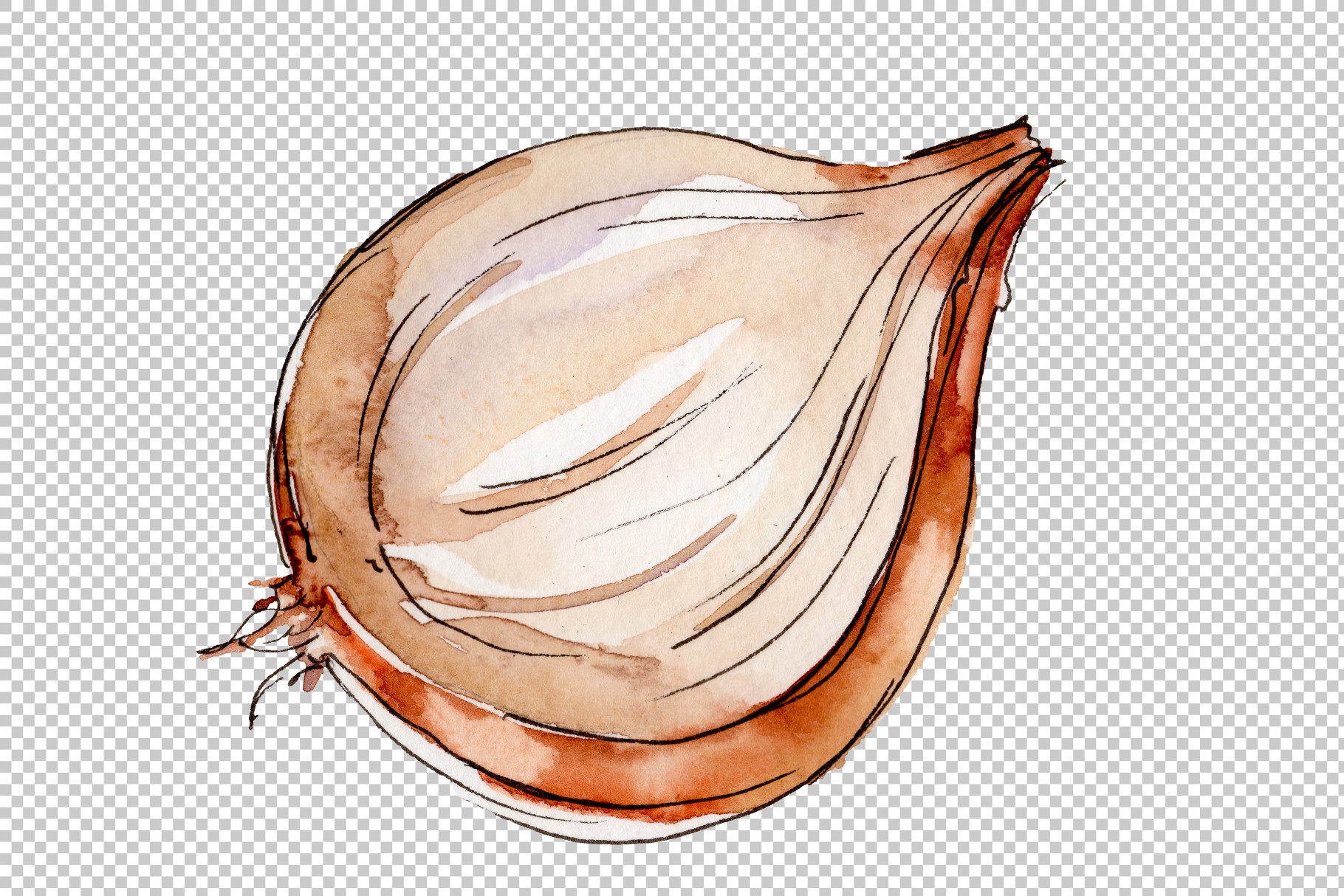Half of onion.