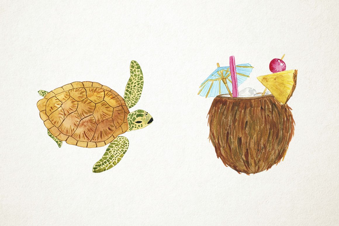 Watercolor coconut and turtle.