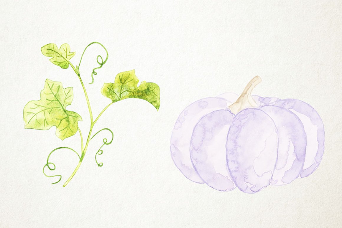 Watercolor pastel elements for pumpkin illustration.