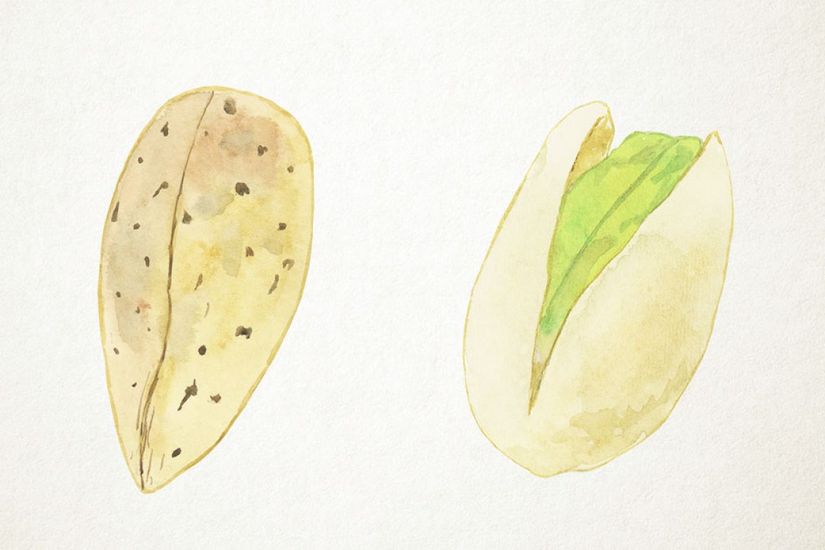 Watercolor pistachio.