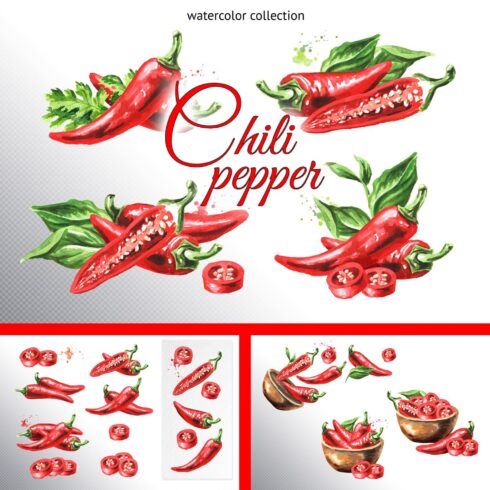 Chili pepper. Watercolor collection.
