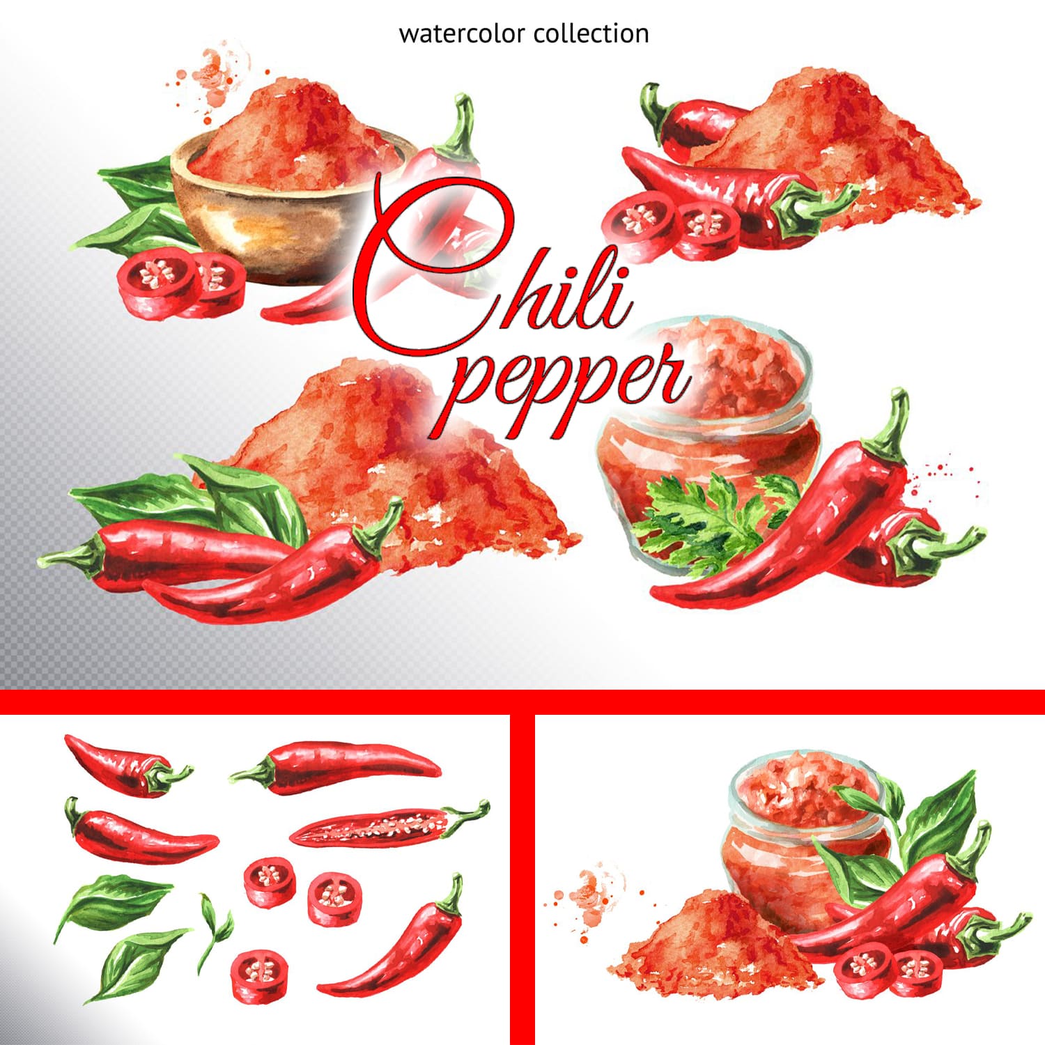 Chili pepper. Watercolor collection cover.