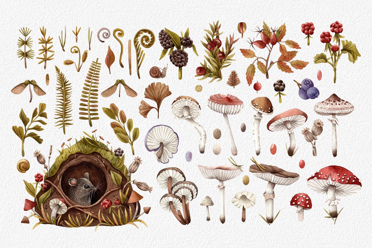 This collection features hand painted watercolor illustrations of colorful mushrooms.