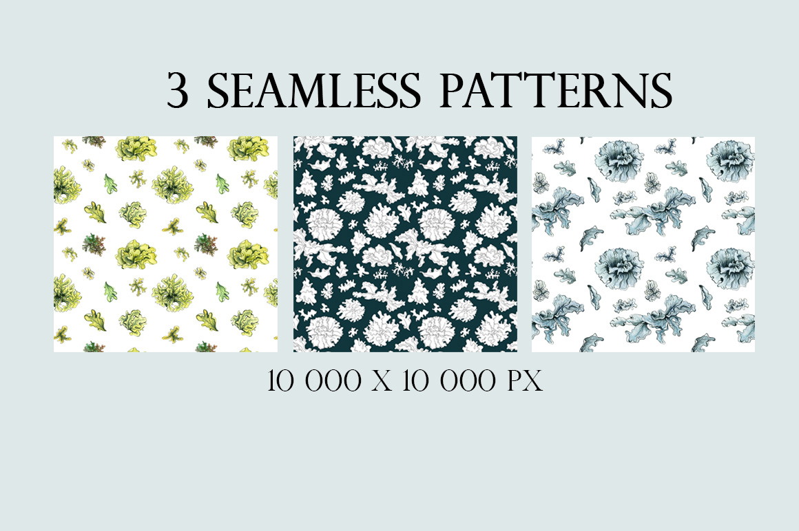 Watercolor Illustrations And Seamless Patterns With Lichens On The Surface Patterns Examples.