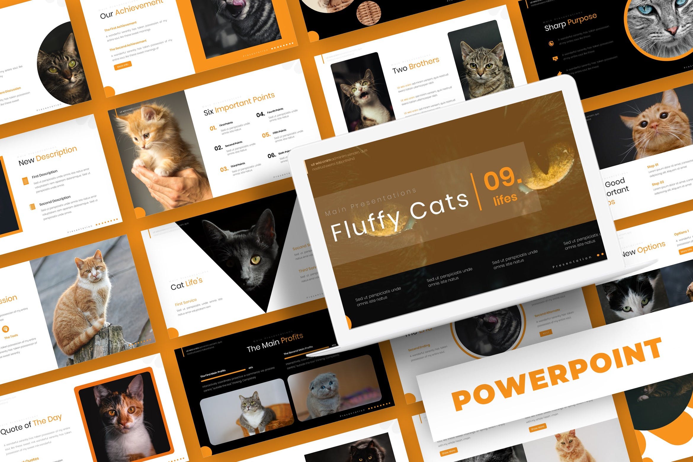 Cover image of Fluffy Cat - Powerpoint Template.