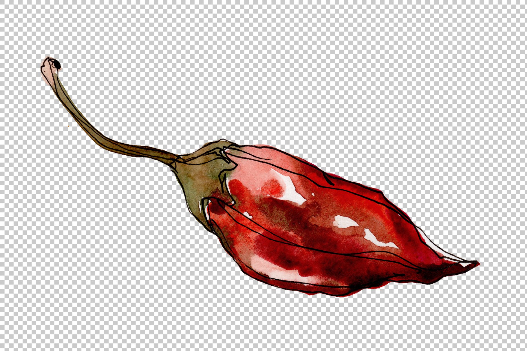 Interesting pepper shape.