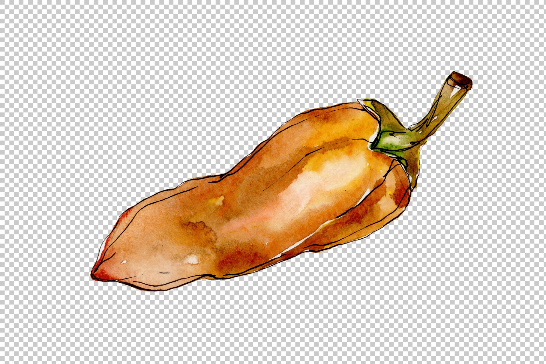 Middle orange pepper in a watercolor style.