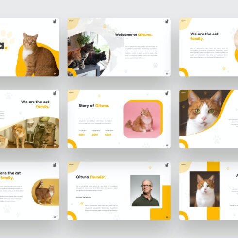 Qituna - Cat Animal PowerPoint Template | Master Bundles