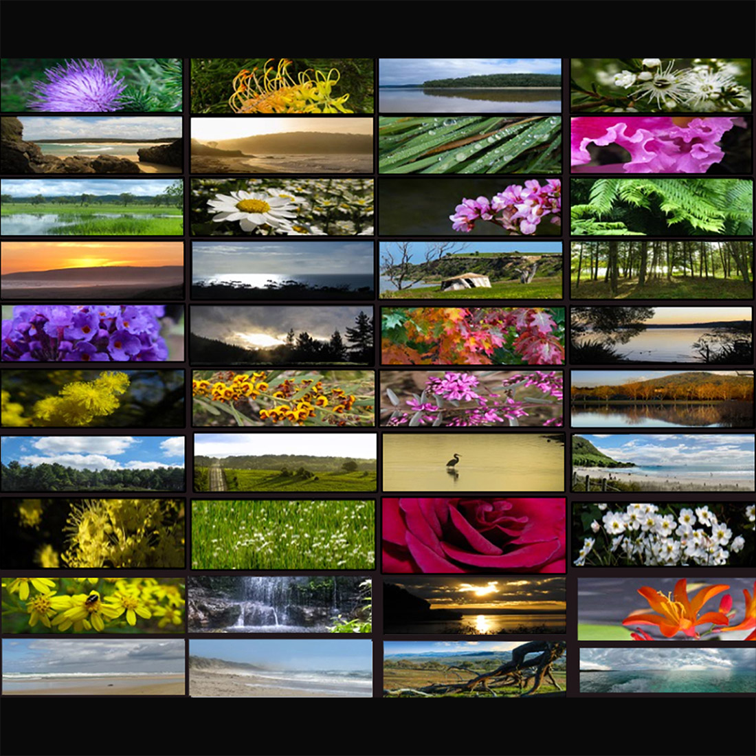 Website Magic Widescreen Image Bundle cover image.