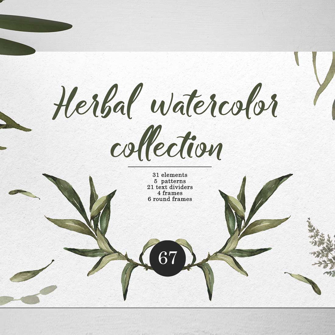 Watercolor Herbal Collection PNG preview image.