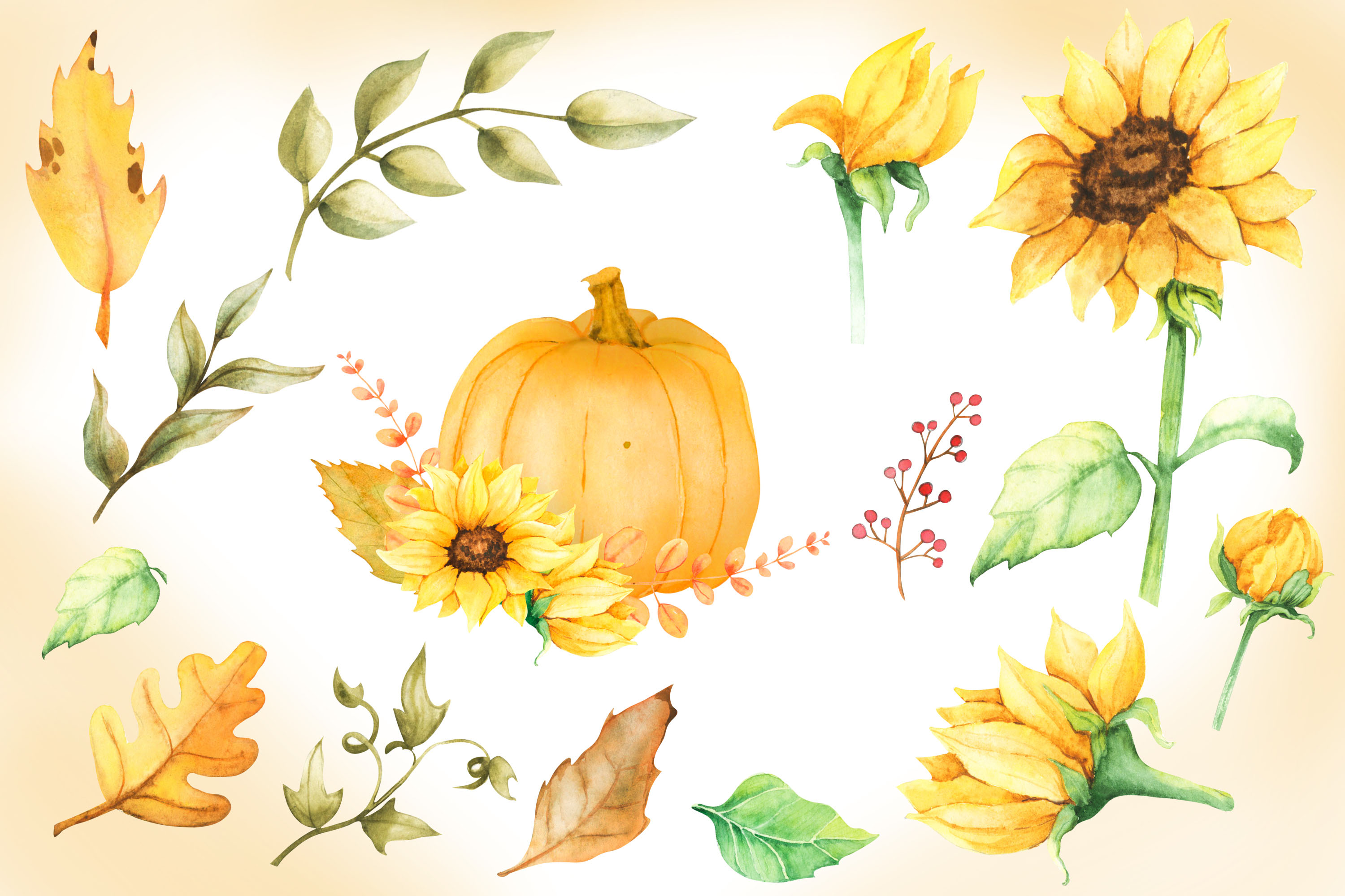 Pumpkins Autumn Watercolor Clipart elements.