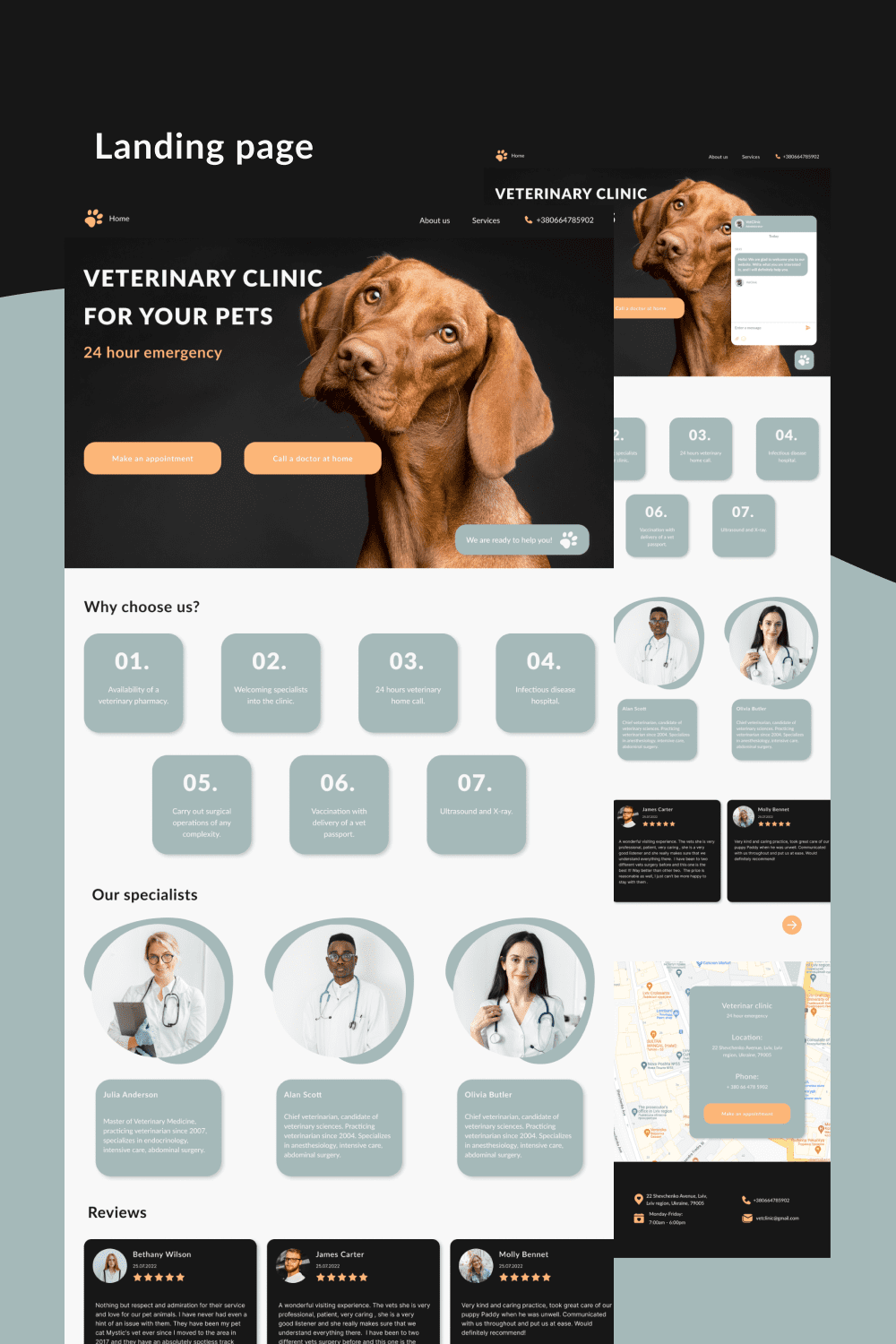 Pet Health Landing Page For Veterinary Clinic Template Pinterest Image.
