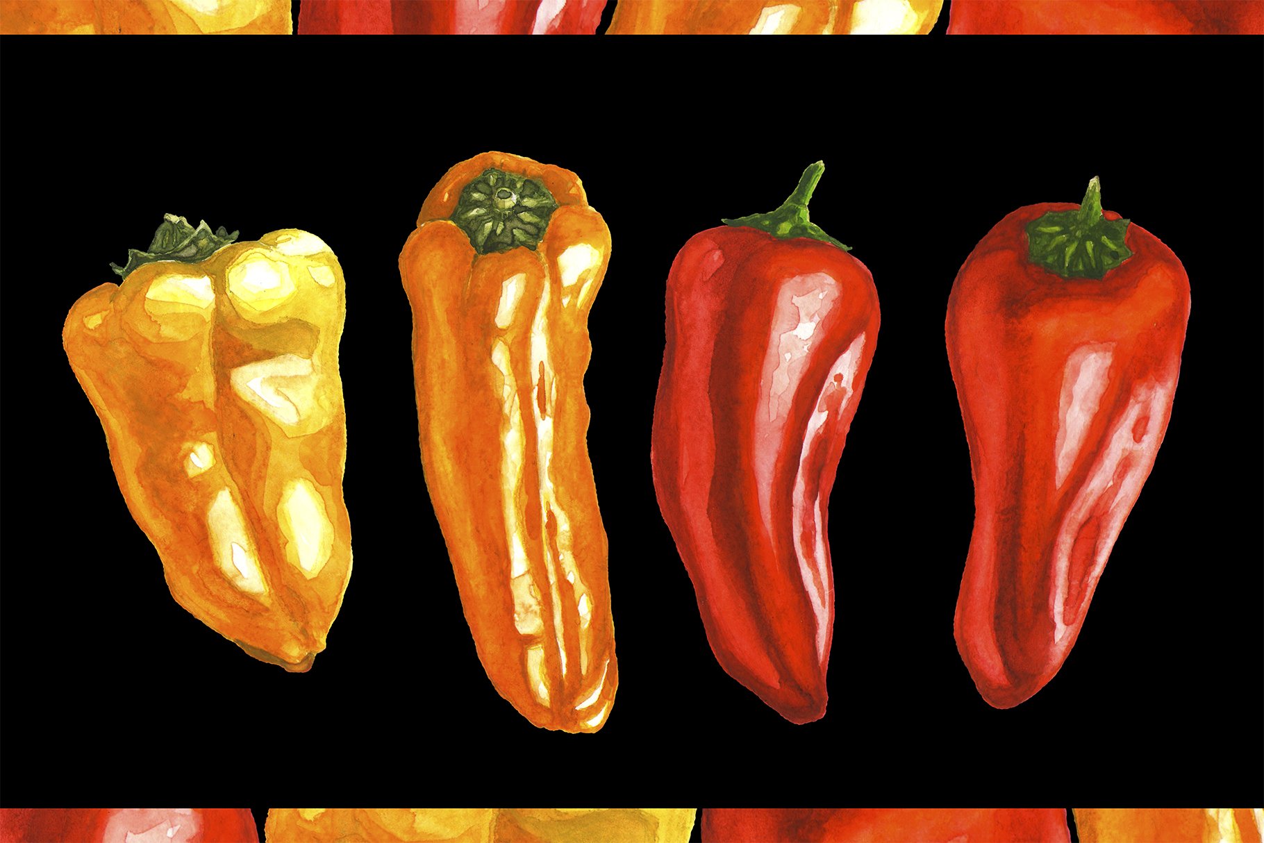 Nice peppers collection in different colors.