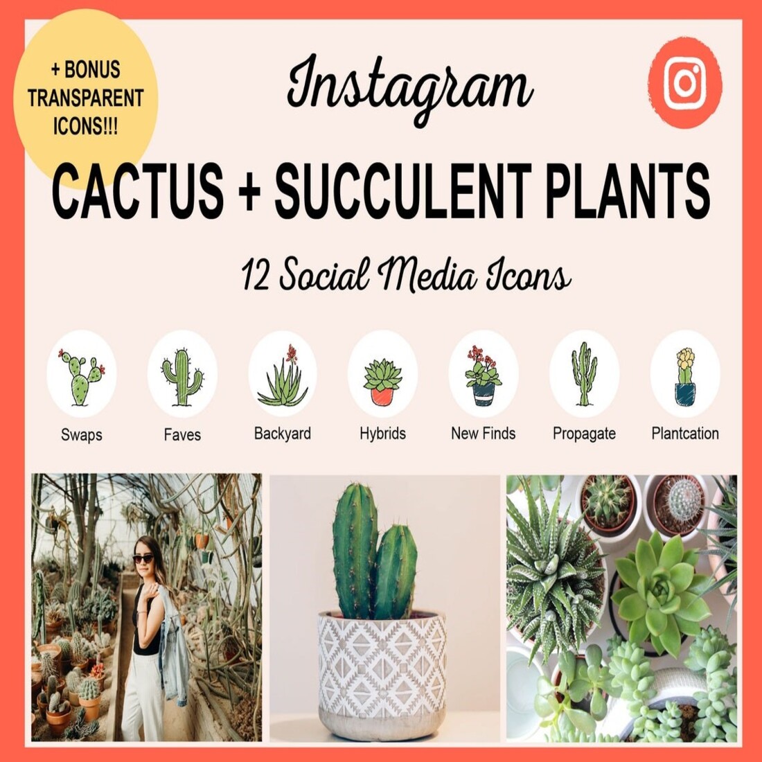 cactus preview Instagram Cactus + Succulent Plants (12 Social Media Icons)