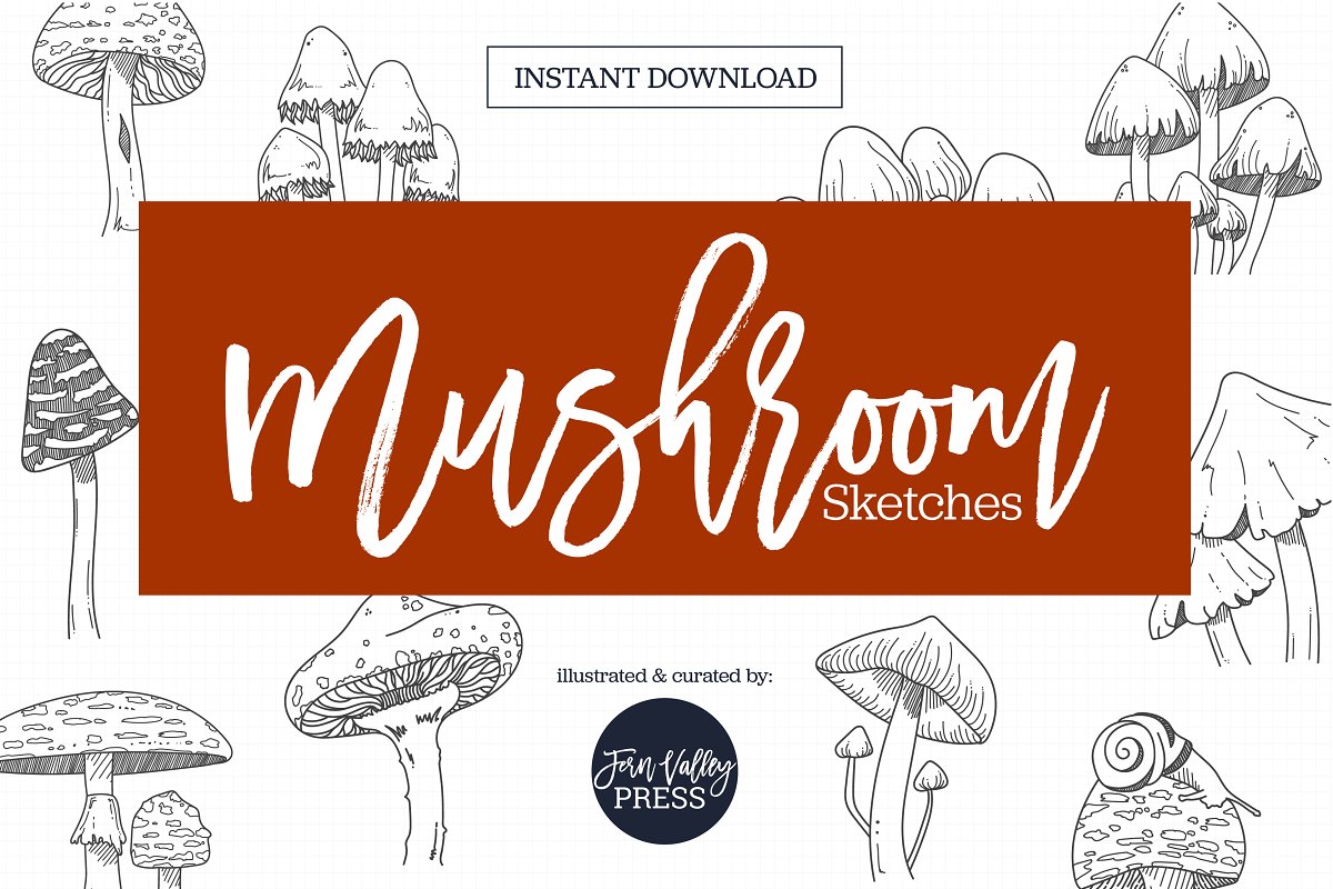 Cover image of Mushroom Sketch Clipart Collection.