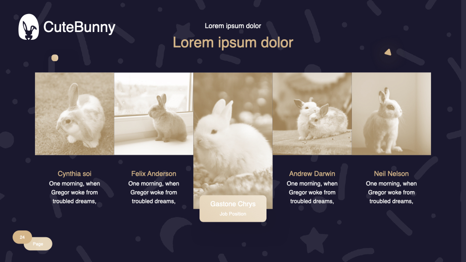 Bunny gallery with hover.